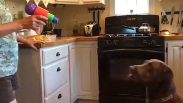 Warwick and the squirt gun смотреть онлайн