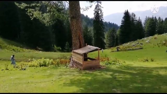 Beauty Of Kumrat Valley Upper Dir KPK | Beauty Of Pakistan #BeautifulPakistan #Kumrat #travel #KPK смотреть онлайн