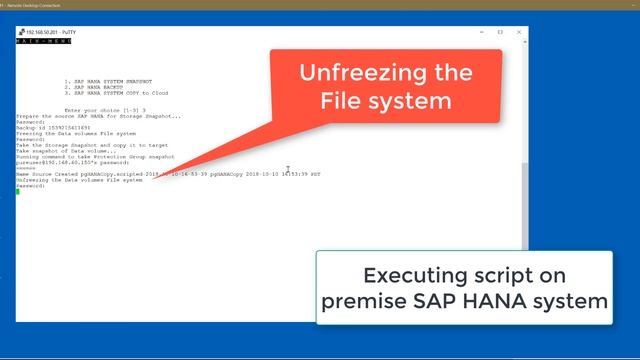 Easy Migration of On-Premises SAP HANA to AWS Demo смотреть онлайн