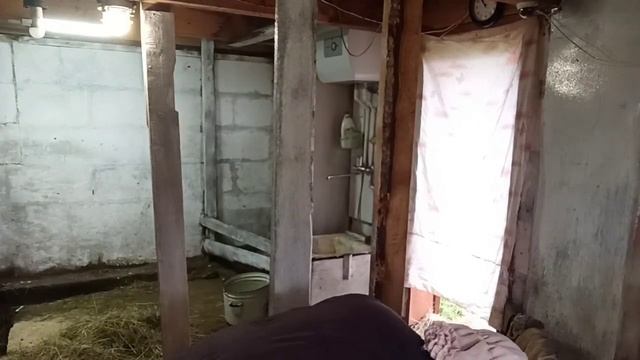 Крашу сарай водоэмульсионной краской! Будет как в больничной палате всё беленькое и светленькое! смотреть онлайн