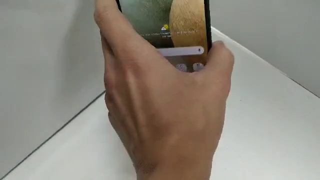 Видео №297531