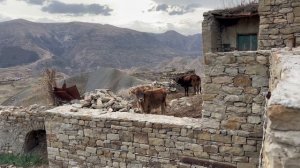 Один день в Дагестане. Горный аул Чох.