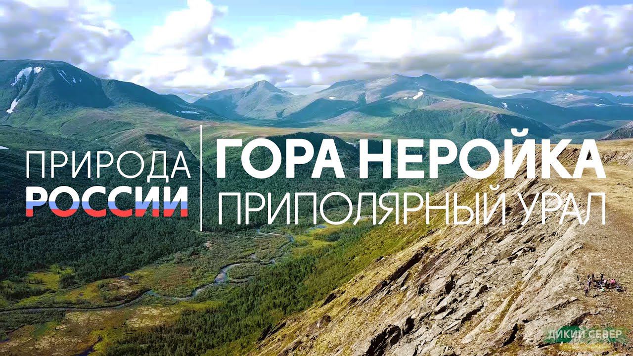Дикая природа России #6 | Гора Неройка. Приполярный Урал смотреть онлайн