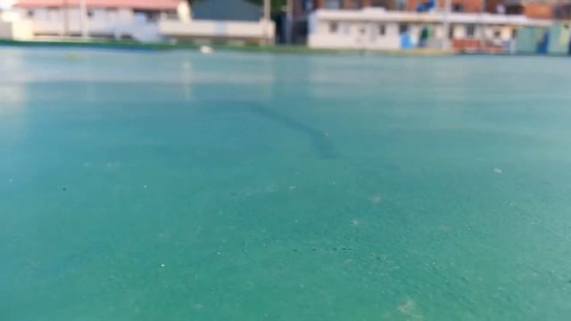 Богомол vs Сколопендра смотреть онлайн