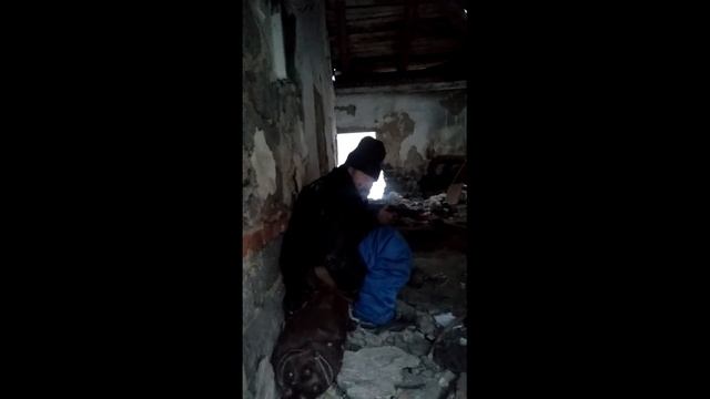 ССАНЫЙ И СРАНЫЙ ПАТРУЛЬ. НЕ НАДО ССАТЬ ВО ДВОРАХ. ЧИСТЫЕ ДВОРЫ смотреть онлайн