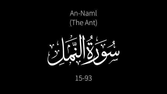 Surah An-Naml (The Ant) [15-93] | Ahmed Ragab смотреть онлайн