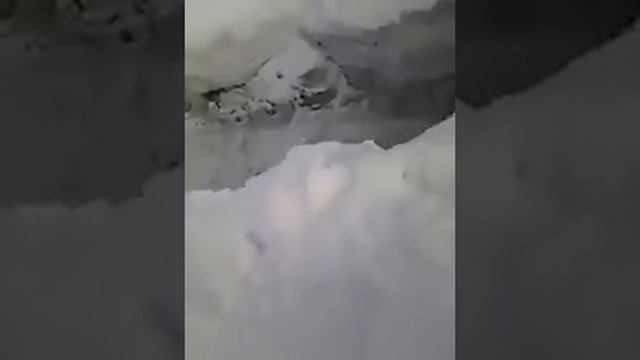 Кто украл снег 2020? Казахстан ч.4 смотреть онлайн