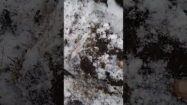 фортуна м3(деловера) смотреть онлайн