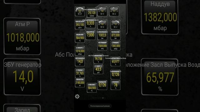 Прожиг сажевого фильтра Рено сценик3.R9M