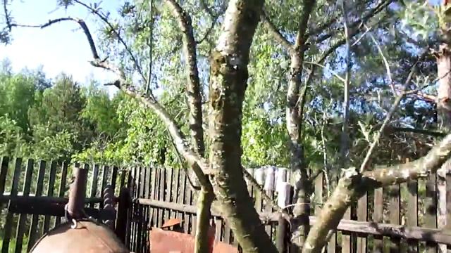 2016.05.24. Соловей поёт заливается. смотреть онлайн