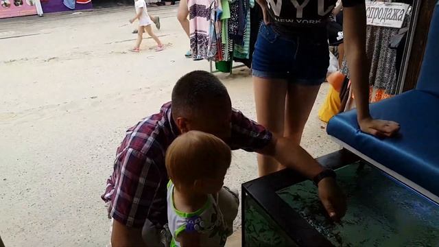 Маленькие пираньи и ребёнок, очень страшно! смотреть онлайн