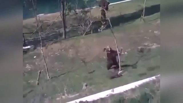 Не Отдам смотреть онлайн