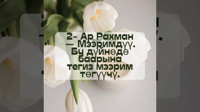 #куран #хикая #хадис #нашид смотреть онлайн