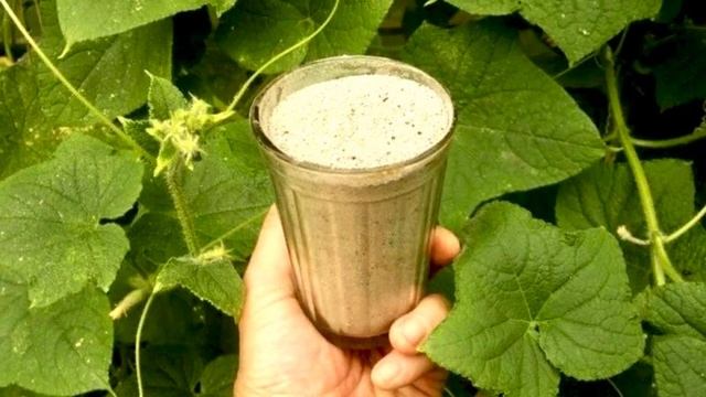 ОГУРЦЫ плодоносят НЕПРЕРЫВНО до холодов! Эффективные ПОДКОРМКИ. Чем подкормить огурцы чтоб росли смотреть онлайн