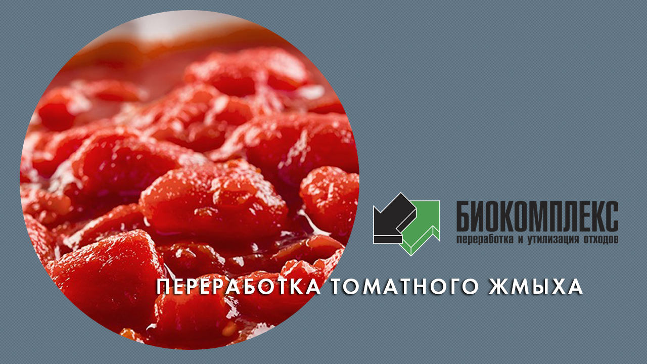 Переработка томатного жмыха смотреть онлайн