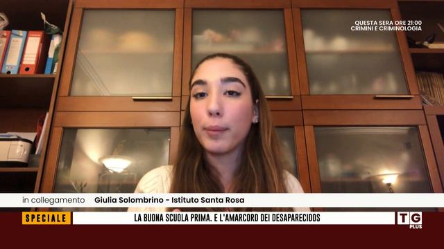 TG PLUS MORELLI LA BUONA SCUOLA LICEO SANTA ROSA VT смотреть онлайн