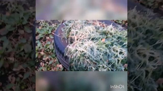 Погода в Краснодарском крае до и после нового года смотреть онлайн