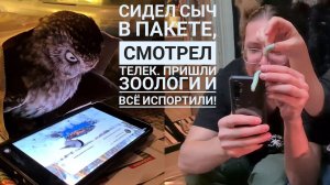 Упоротые зоологи испортили совёнку вечер! Пришли тут со своими гусеницами и давай ими махать!