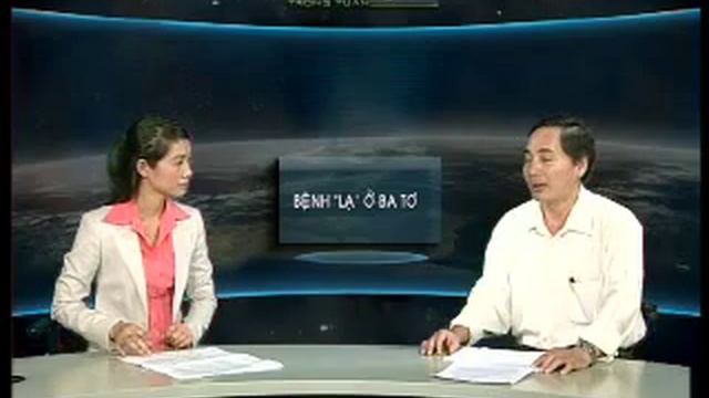 Nhịp sống trong tuần Số 10 смотреть онлайн