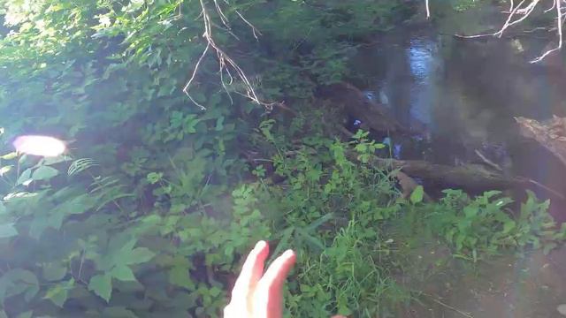 ПАВЛИК 8 сезон 6 серия смотреть онлайн