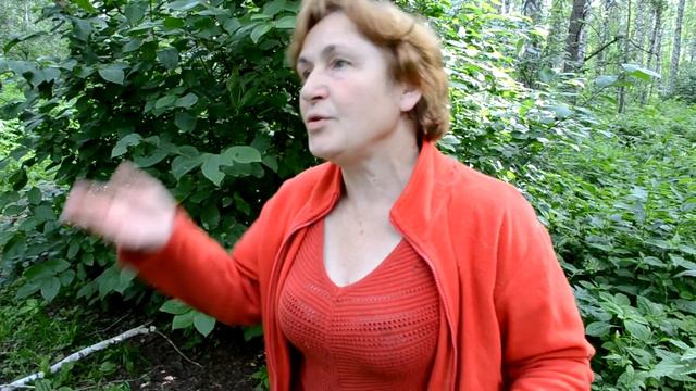 Акция «Помощь приюту Академгородка», МБУ МЦ «Мир молодежи» (г. Новосибирск) смотреть онлайн