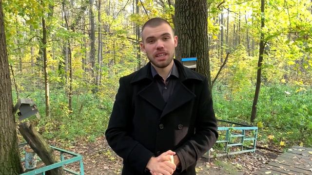 Что я понял за 365 пробежек? Мой опыт смотреть онлайн