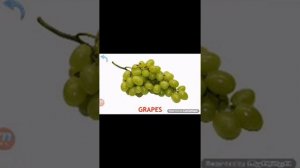 Learn fruits and vegetables,fruits name
