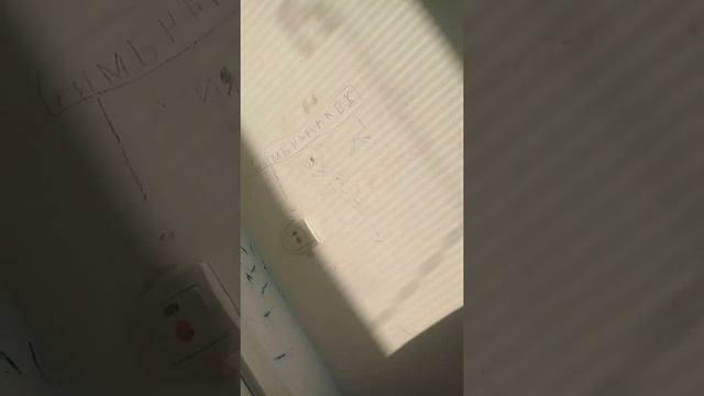 Моя моя подруга боится маленьких кошек ха-ха-ха смотреть онлайн