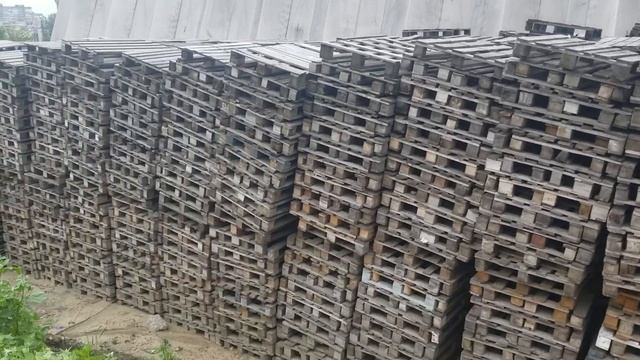 YouTube МОЙ ДЕНЬ поддон ИЩЕТ хозяина продам в неограниченном колличестве смотреть онлайн