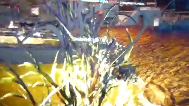 Warface PVP №3 мс 255 12 обзор смотреть онлайн