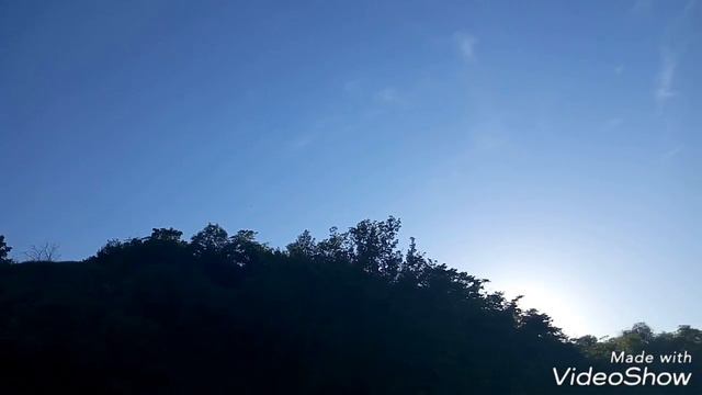 Как хорошо в лесу😊😊😊 смотреть онлайн