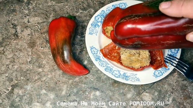 Лучшего СОРТА ПЕРЦА для ФАРШИРОВАНИЯ просто Нет! Перец Долма Турецкий — Dolma Biber смотреть онлайн