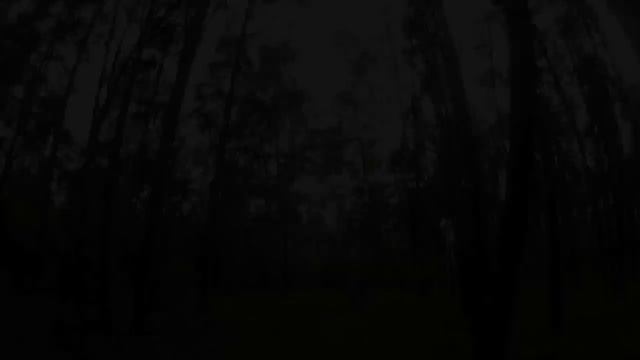 Велоквест Жулебино