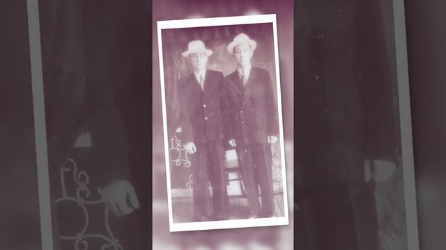 Родовое дерево, своими руками смотреть онлайн