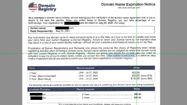 Domain Name Scams EXPOSED! смотреть онлайн