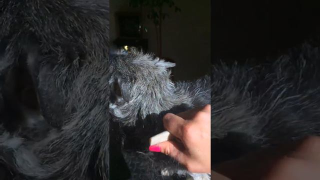 rolling of head 2 смотреть онлайн