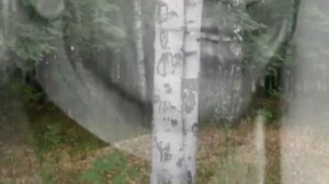 Дмитрию Хворостовскому посвящается