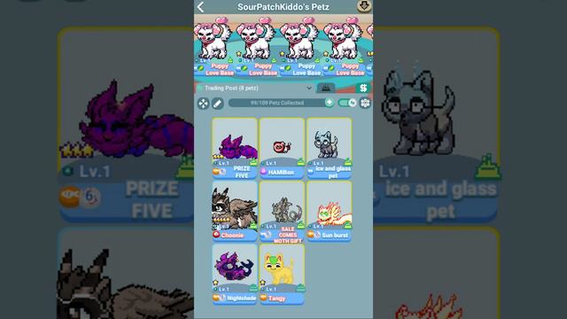 How To Create New Boxes In Pixel Petz