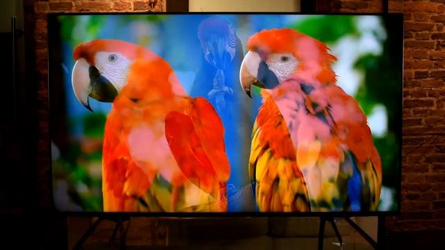 Обзор Sony KD-65XH9505. Стоит ли новый флагман своих денег? смотреть онлайн