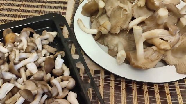 Мариную грибы: РЯДОВКА серая и КОРОВНИКИ. Классная дача. Костанай. смотреть онлайн