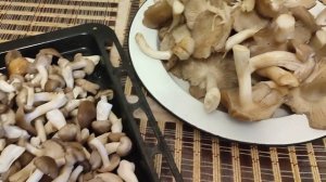 Мариную грибы: РЯДОВКА серая и КОРОВНИКИ. Классная дача. Костанай.