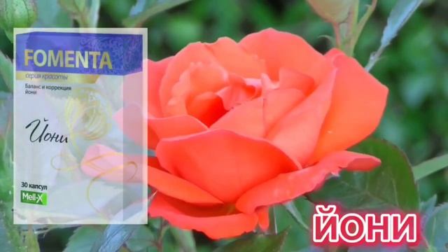 фомента , Fomenta , йони. Бад. заказать в узум мартке. ссылка в описании