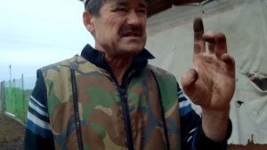 Т 40 замена резинок в гбц   Фильтр  гидравлики..