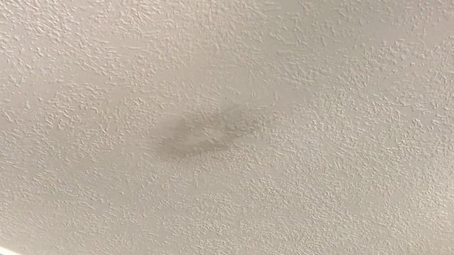 SUPER EASY way to Fix Water Stains on Ceiling or Wall - Without Painting It! смотреть онлайн