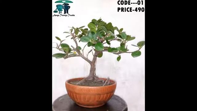 ------Code 01----Price 490 Tk-----Call Now 0 1 6 2 0 4 6 4 7 8 7---- смотреть онлайн
