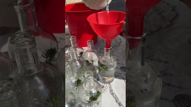 Напиток для души ???