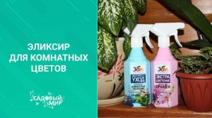 Натуральный живительный эликсир для комнатных цветов. Буйство красок и быстрый рост.