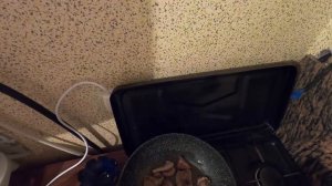 Как приготовить сочного вальдшнепа. Самый простой рецепт. Вальдшнеп жареный с картошкой.