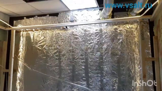 соляная пещера(монтаж) 12-квадратов в Омске, в бассейне Мадагаскар смотреть онлайн