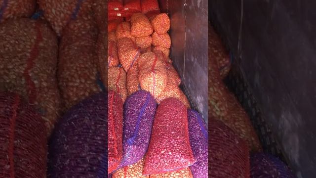 Лук Севок купить смотреть онлайн